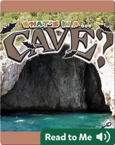 What's In A... Cave? book