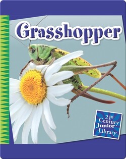 Grasshopper