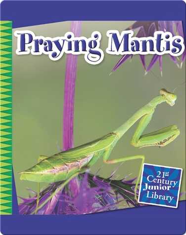 Praying Mantis book