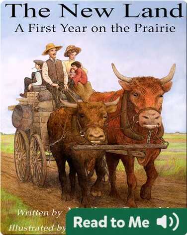 The New Land book