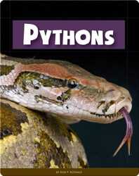 Pythons book