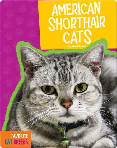 American Shorthair Cats book