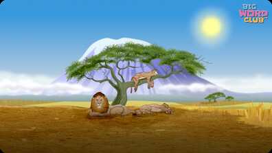 Circle of Life Song book