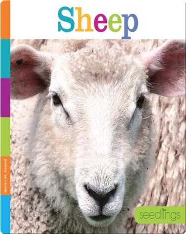 Sheep book