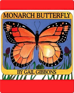 Monarch Butterfly