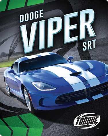 Dodge Viper SRT book