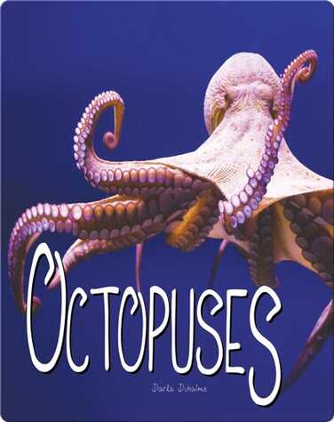Octopuses book