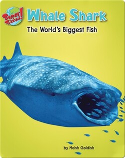 Whale Shark: The World's Biggest Fish