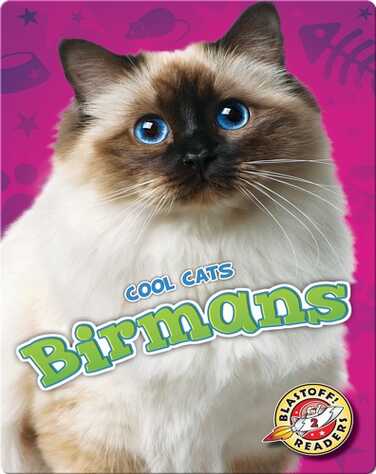 Birmans book