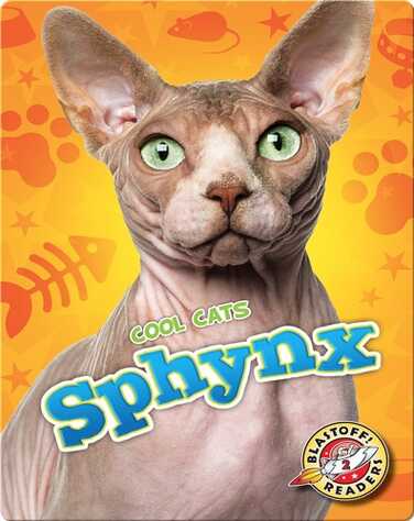 Sphynx book