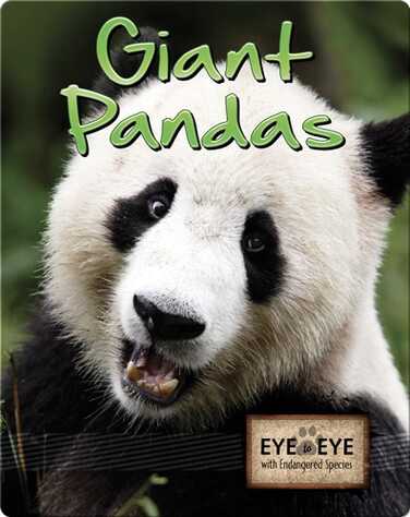 Giant Pandas book