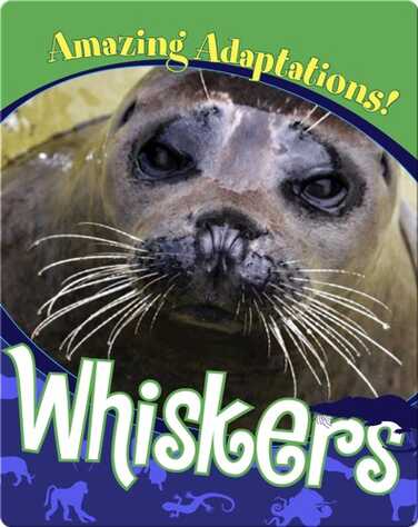 Whiskers book