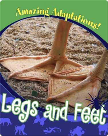 Legs and Feet book