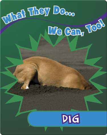 Dig book