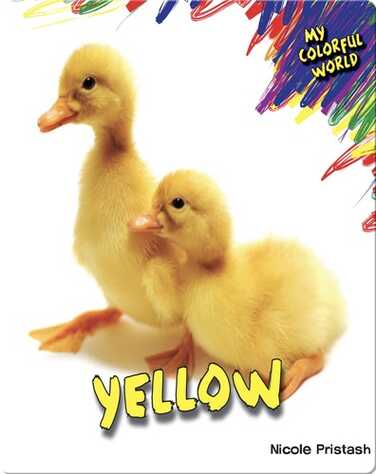 Yellow book