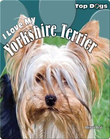 I Love My Yorkshire Terrier book