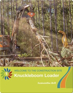 Knuckleboom Loader