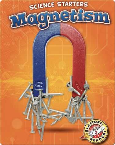 Magnetism book