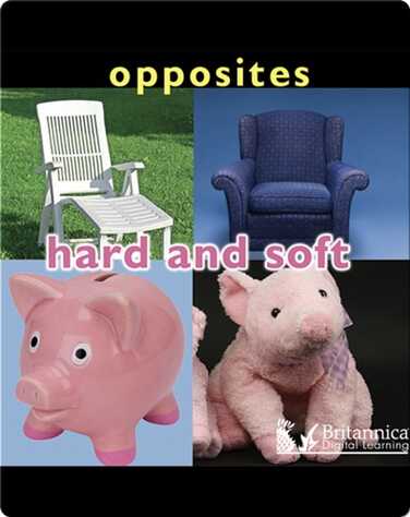 Opposites: Hard and Soft book