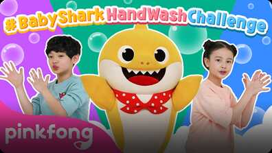 Baby Shark Hand Wash Challenge book