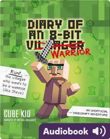 Diary of an 8-Bit Warrior book