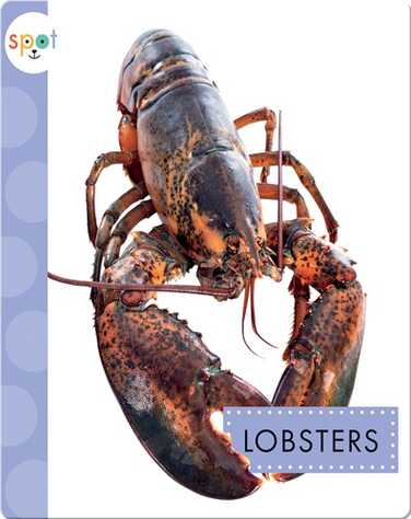 Ocean Animals: Lobsters book