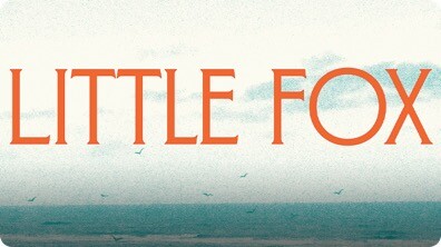 Little Fox