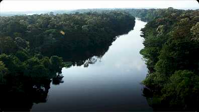 AnimalFanPedia: Amazonian Adventure book