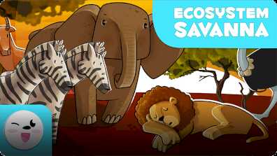 Kolitas Nature: The Savannah book