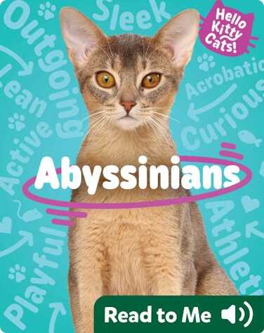 Hello Kitty Cats! Abyssinians book