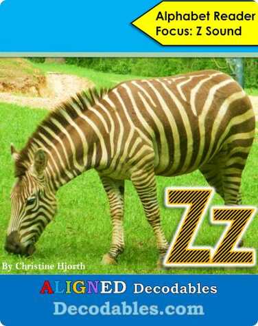 Zz Book book