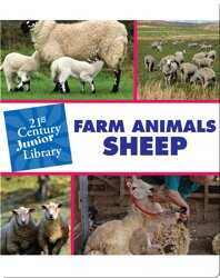 Farm Animals: Sheep book