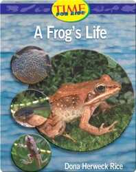 A Frog's Life book