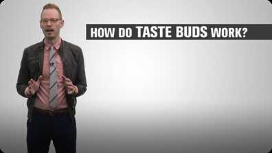 How Do Taste Buds Work? book