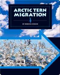 Arctic Tern Migration book