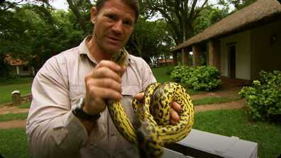 Eye to Eye With a Yellow Anaconda - Deadly 60 book