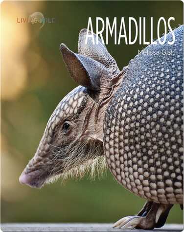 Armadillos book