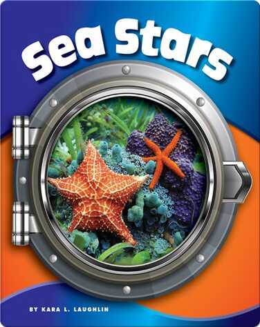 Sea Stars book