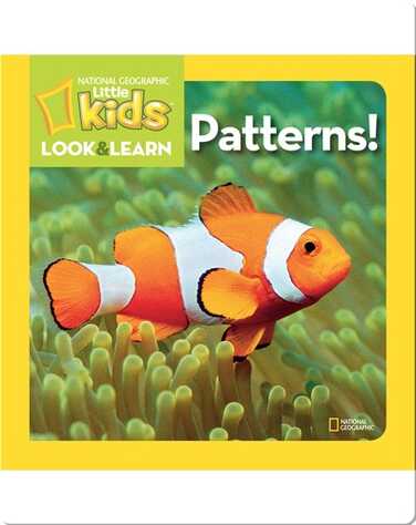 National Geographic Kids Look and Learn: Patterns! book