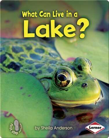 What Can Live in a Lake? book