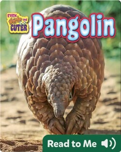Pangolin