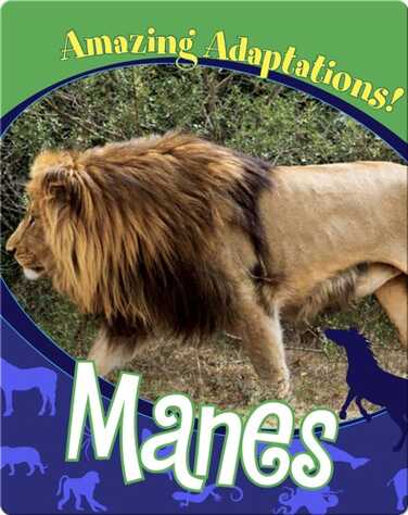 Manes book