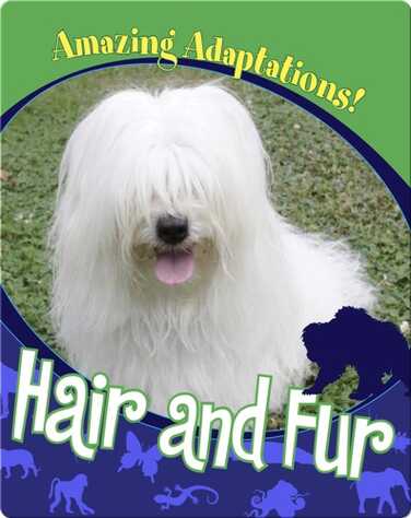 Hair and Fur book