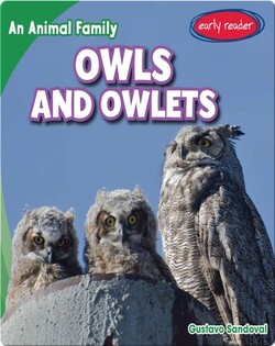 Owls and Owlets