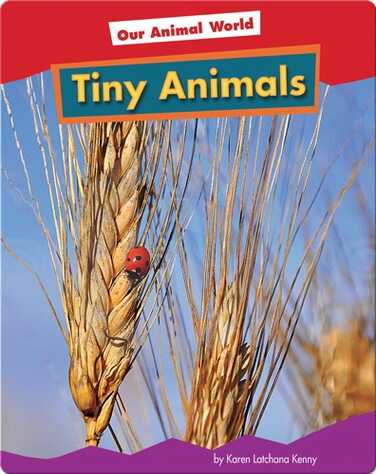 Tiny Animals book