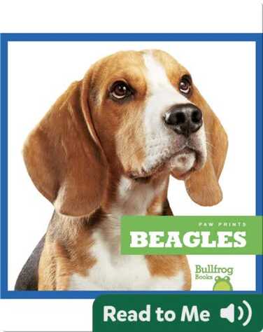Beagles book