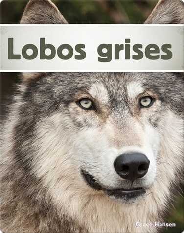Lobos grises book