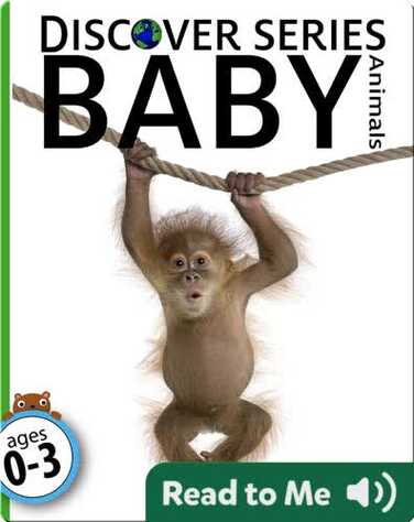 Baby Animals book