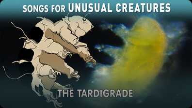 Songs for Unusual Creatures: The Tardigrade book