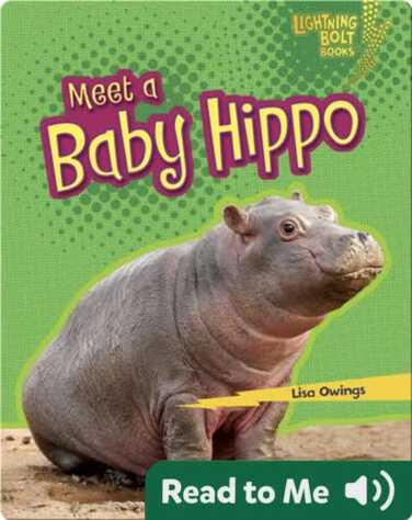 Meet a Baby Hippo book